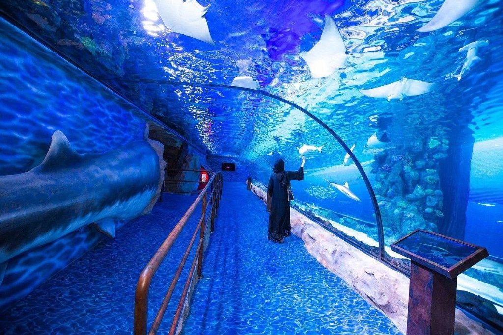 Dubai Aquarium - 2