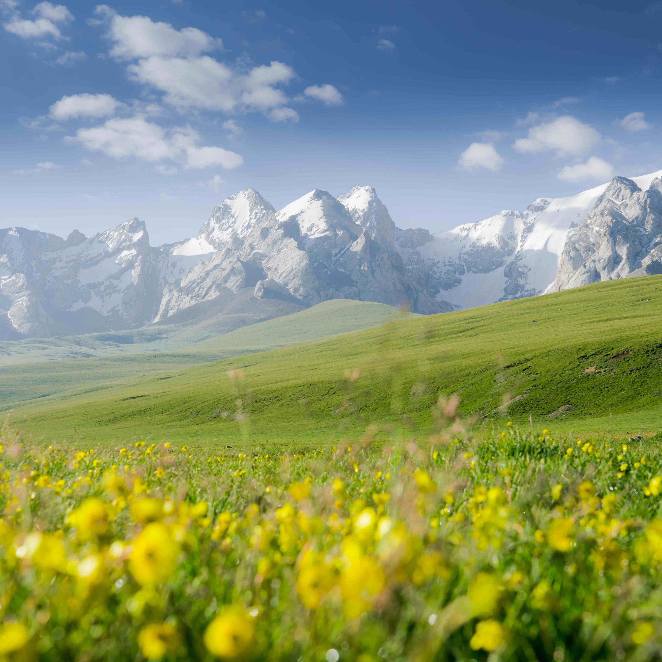 Escapar Travel and Tourism