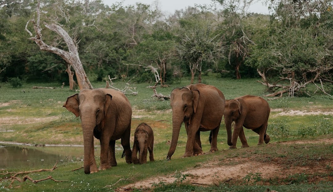 Sri Lanka